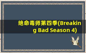 绝命毒师第四季(Breaking Bad Season 4)